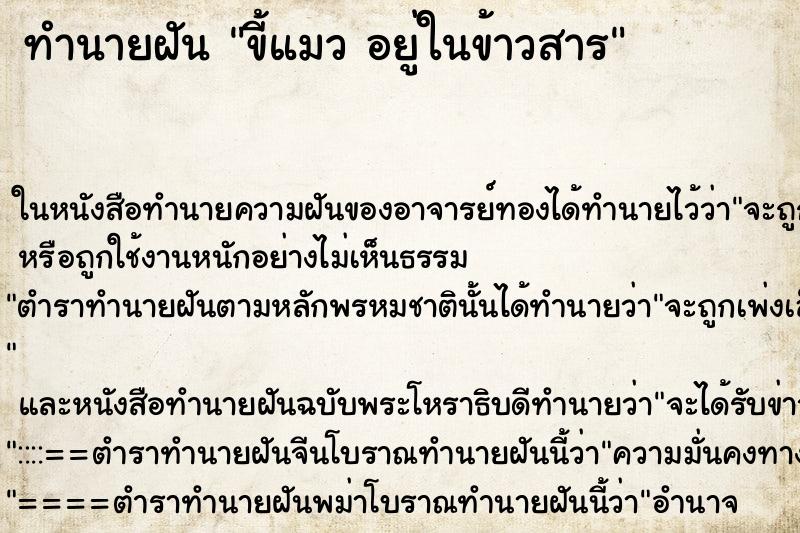 ทำนายฝัน ขี้แมว อยู่ในข้าวสาร ตำราโบราณ แม่นที่สุดในโลก